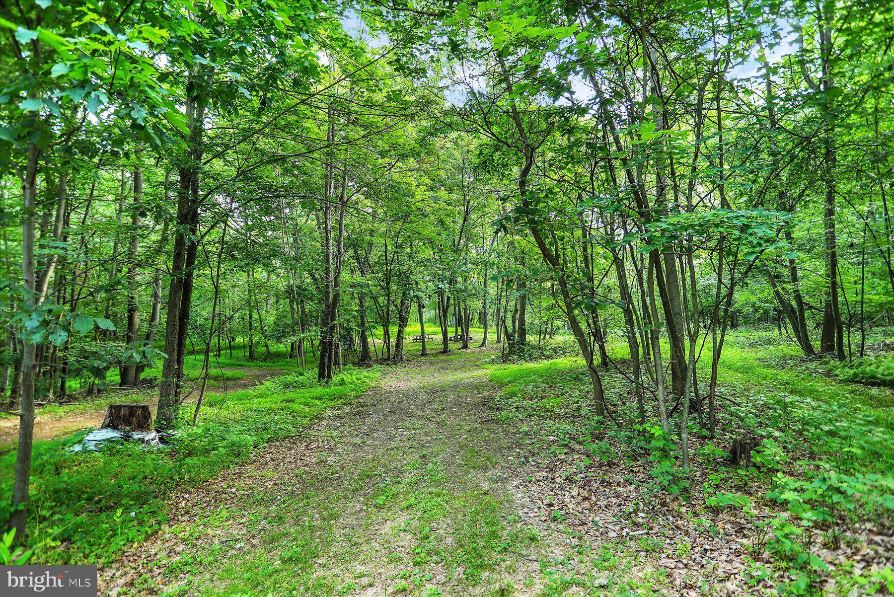 0 SHULL HILL RD, Newport, PA 17074
