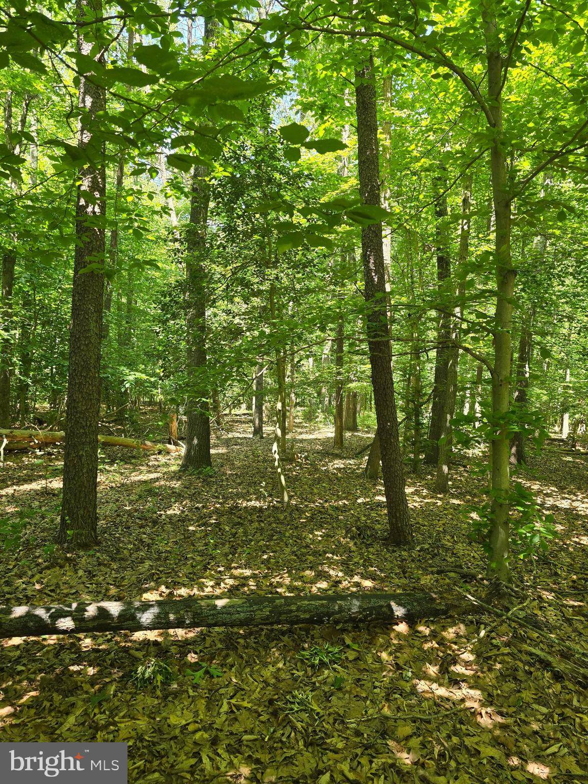 Crownsville, MD 21032,OLD HERALD HARBOR RD