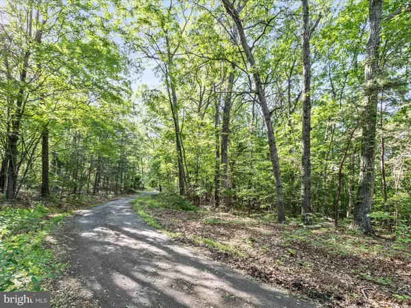 MOUNTAIN LAUREL DR, Mount Jackson, VA 22842