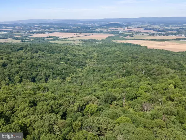 Mount Jackson, VA 22842,MOUNTAIN LAUREL DR