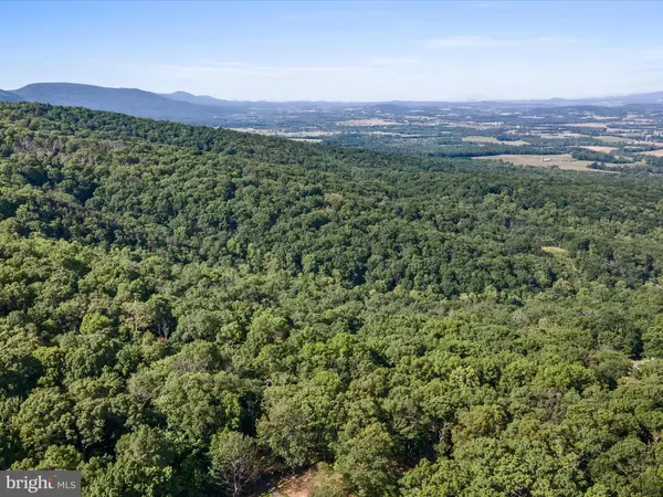 Mount Jackson, VA 22842,MOUNTAIN LAUREL DR