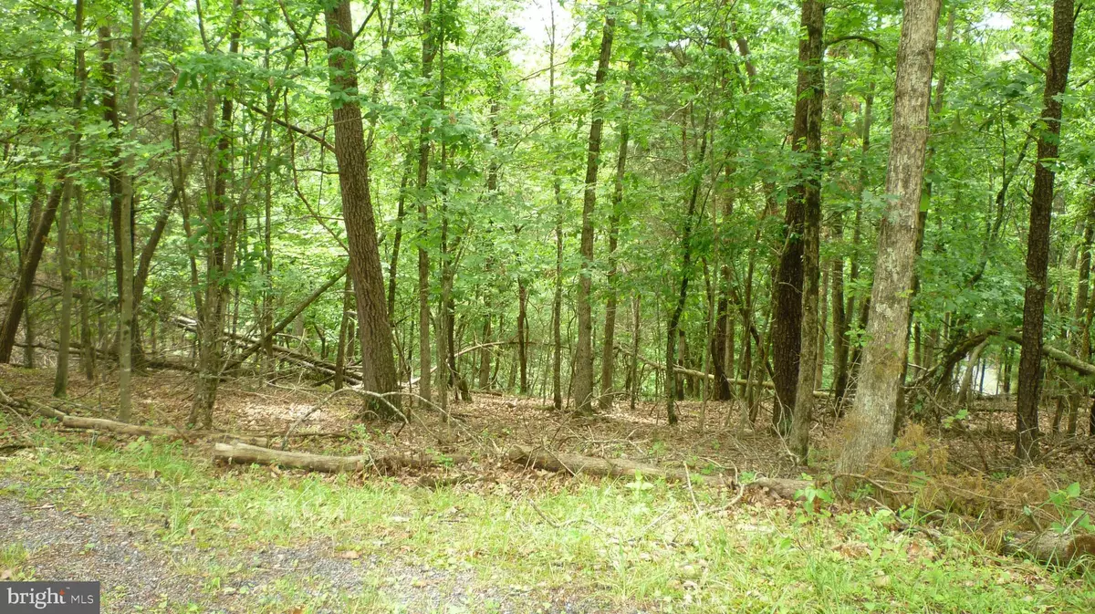 Basye, VA 22810,LOT 179 STUART DR
