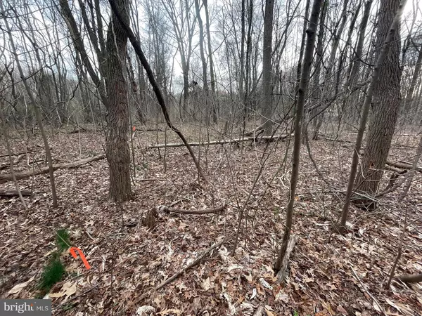 Chestertown, MD 21620,GEORGETOWN RD