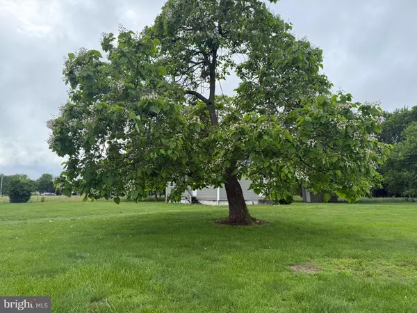 Camden Wyoming, DE 19934,4293 WILLOW GROVE RD