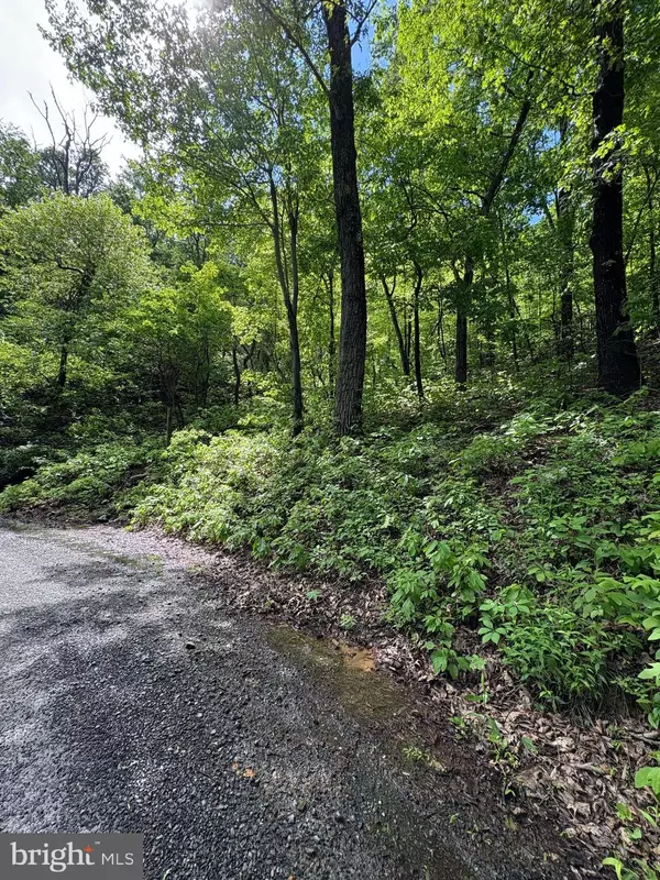 Winchester, VA 22602,LOT 147 TOMAHAWK TRAIL