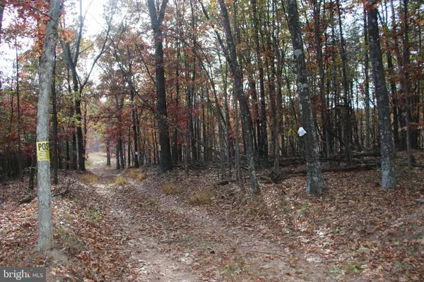 Winchester, VA 22603,EASTER RIDGE LOT 8 LN