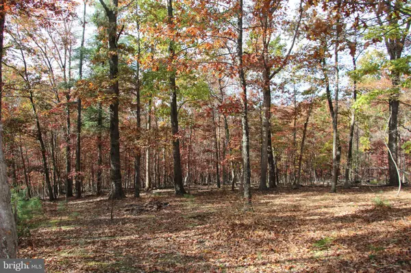 Winchester, VA 22603,EASTER RIDGE LOT 8 LN