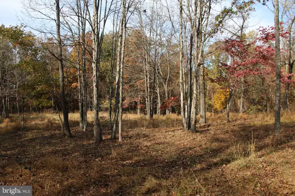 Winchester, VA 22603,EASTER RIDGE LOT 8 LN