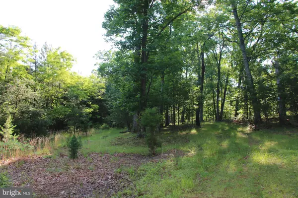 Winchester, VA 22603,EASTER RIDGE LOT 7 LN