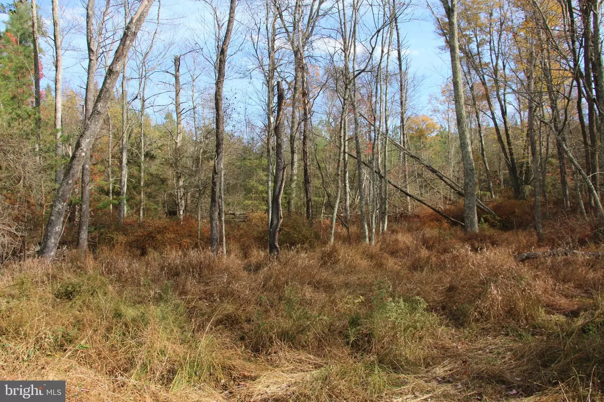 Winchester, VA 22603,EASTER RIDGE LOT 7 LN