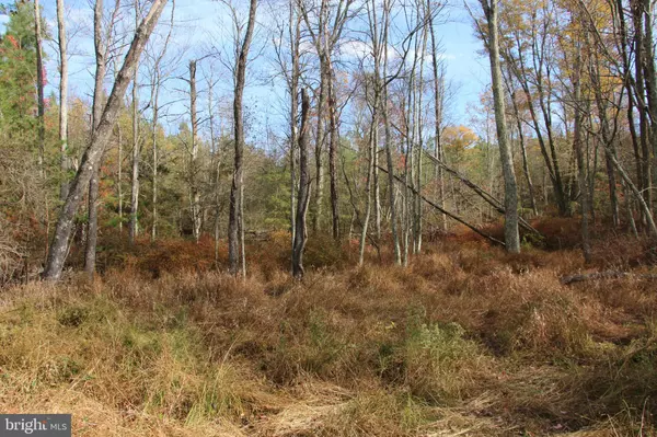 EASTER RIDGE LOT 7 LN, Winchester, VA 22603