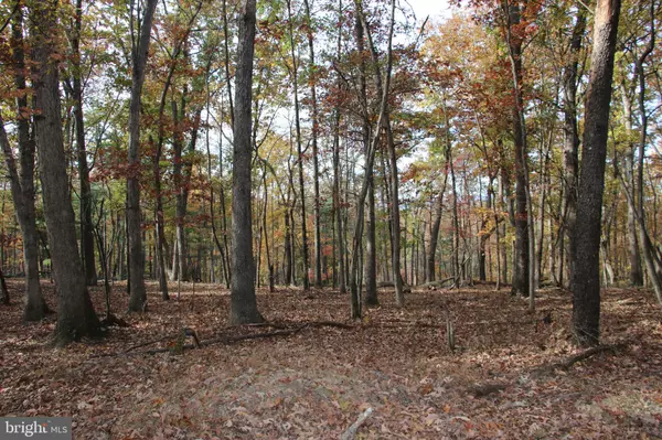 Winchester, VA 22603,EASTER RIDGE LOT 7 LN