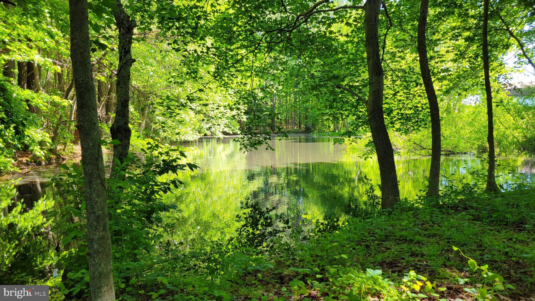Leonardtown, MD 20650,21549 POINT LOOKOUT