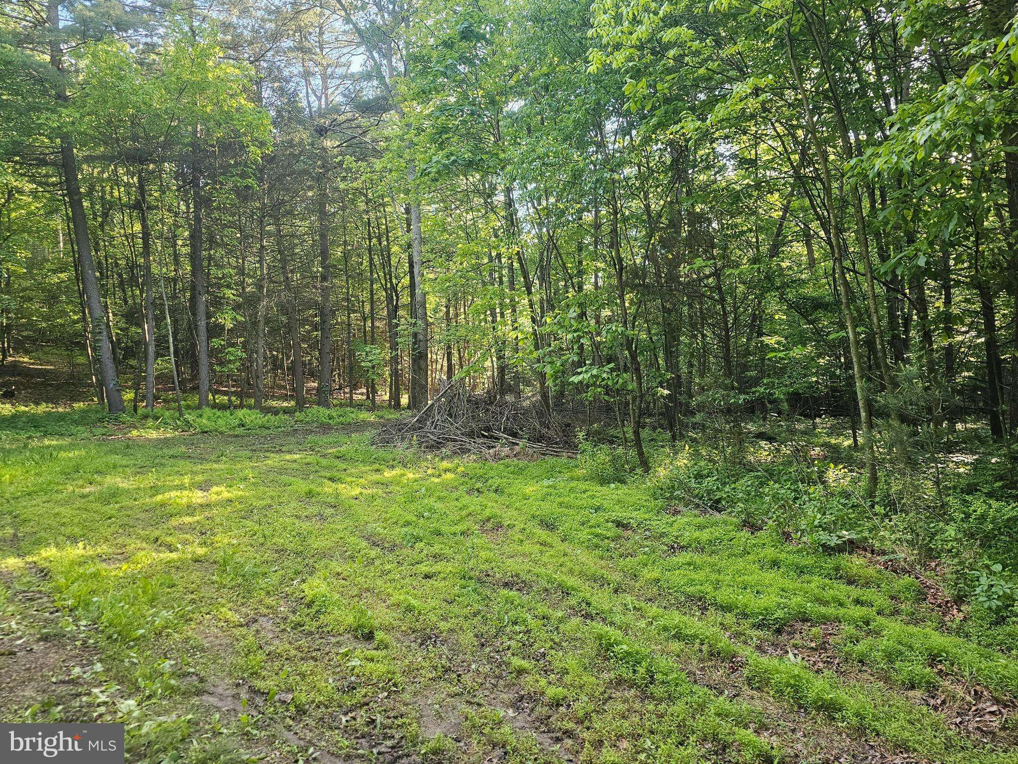 195 KNOTTY PINE RD, New Bloomfield, PA 17068