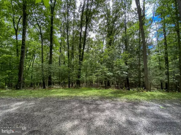 Howard, PA 16841,SERGE MOUNTAIN RD