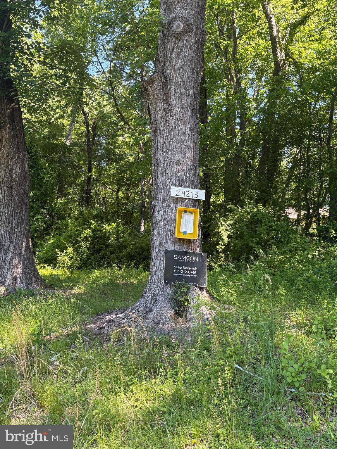 Aldie, VA 20105,24213 CORKTREE LN