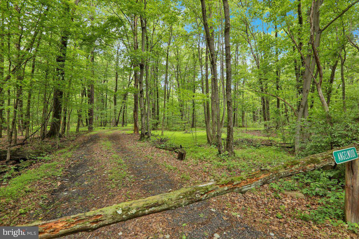 149 BLOODY SPRING RD, Bernville, PA 19506