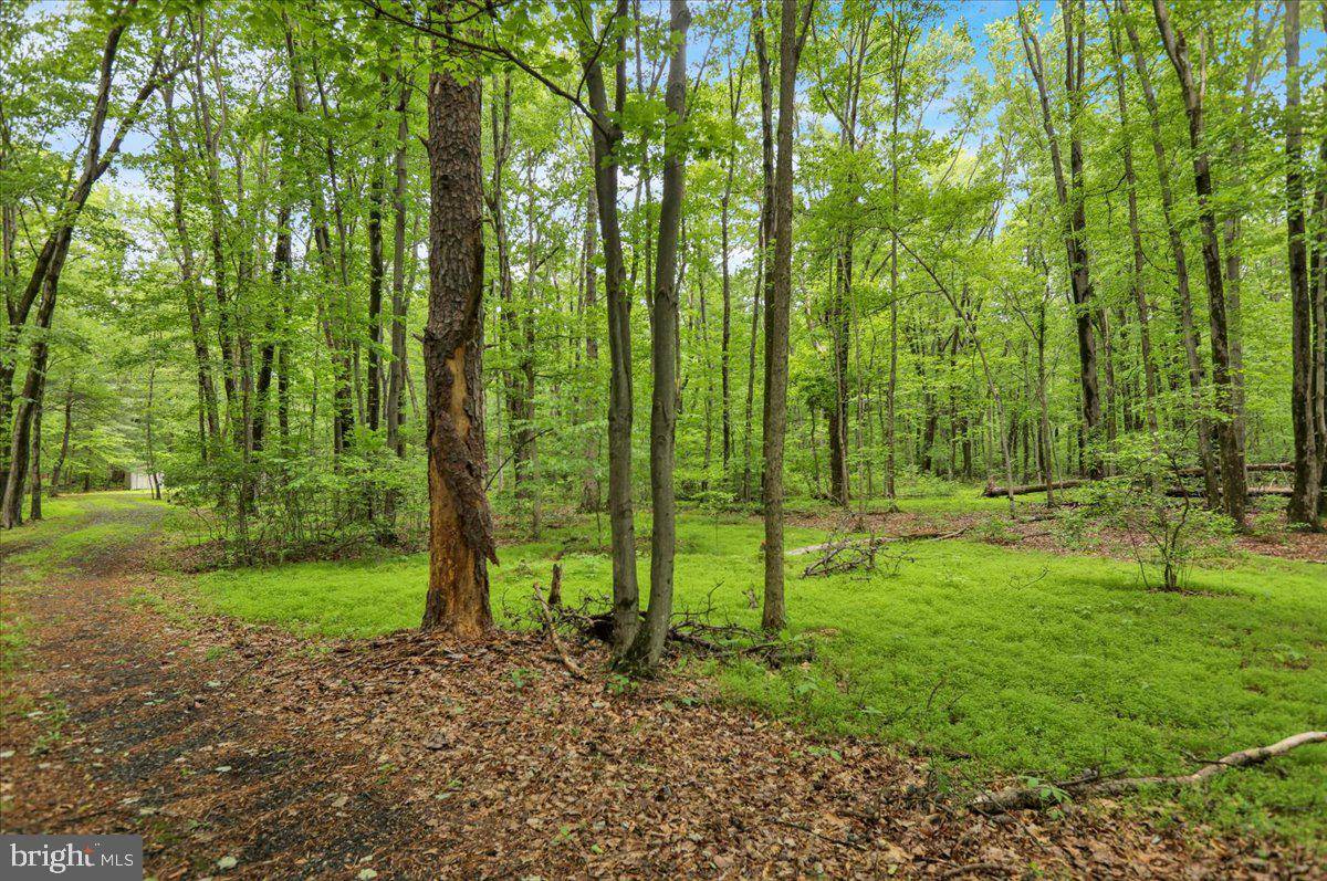 Bernville, PA 19506,149 BLOODY SPRING RD