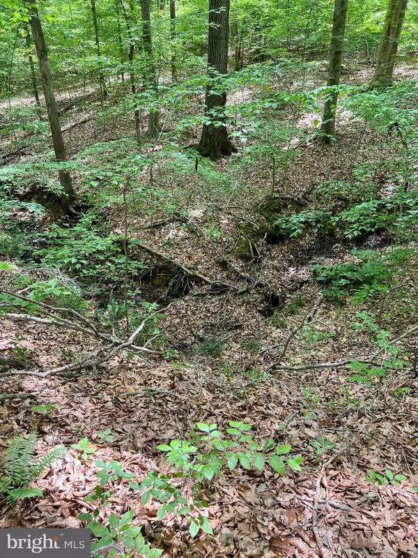 Stafford, VA 22556,LOT 22 LONG BRANCH LN