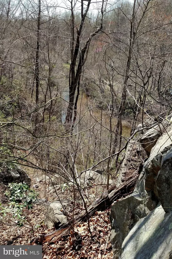 Amissville, VA 20106,TAPPS FORD RD