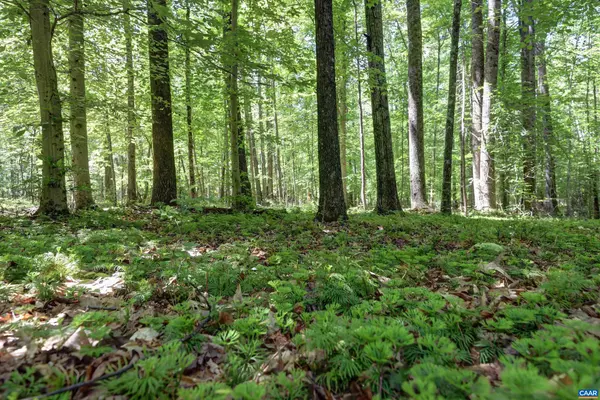 Earlysville, VA 22936,LOT E LINK EVANS LN #E