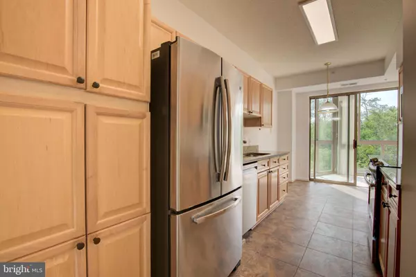 Leesburg, VA 20176,19365 CYPRESS RIDGE TER #401