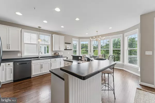 Leesburg, VA 20176,43019 MILL RACE TER