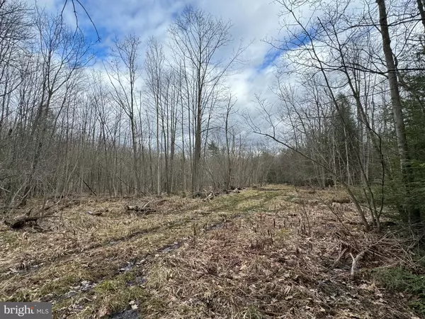 Oakland, MD 21550,MAYHEW INN RD