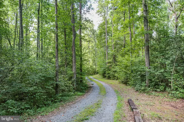 Spotsylvania, VA 22551,14121 CEDAR PLANTATION RD