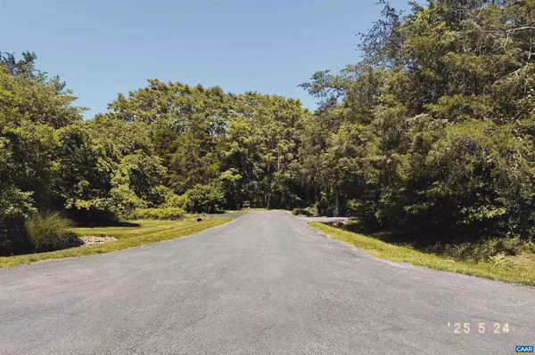 Nellysford, VA 22958,99 BLUE CHICKORY CT #B10