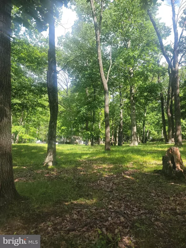 Pennington, NJ 08534,6 TIMBERLANE DR