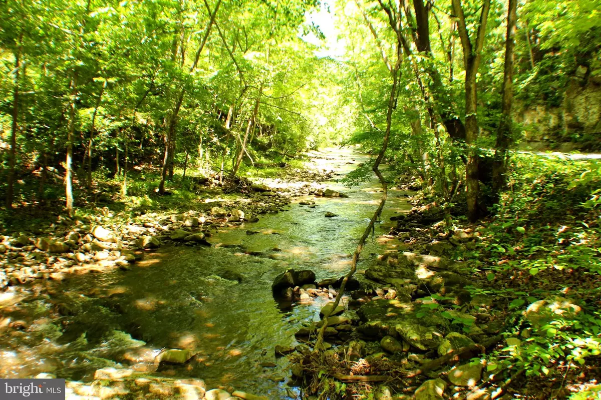 Moorefield, WV 26836,4587 TROUGH RD