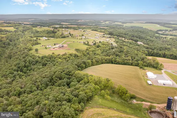 Mount Pleasant Mills, PA 17853,0 DRESSLER RIDGE