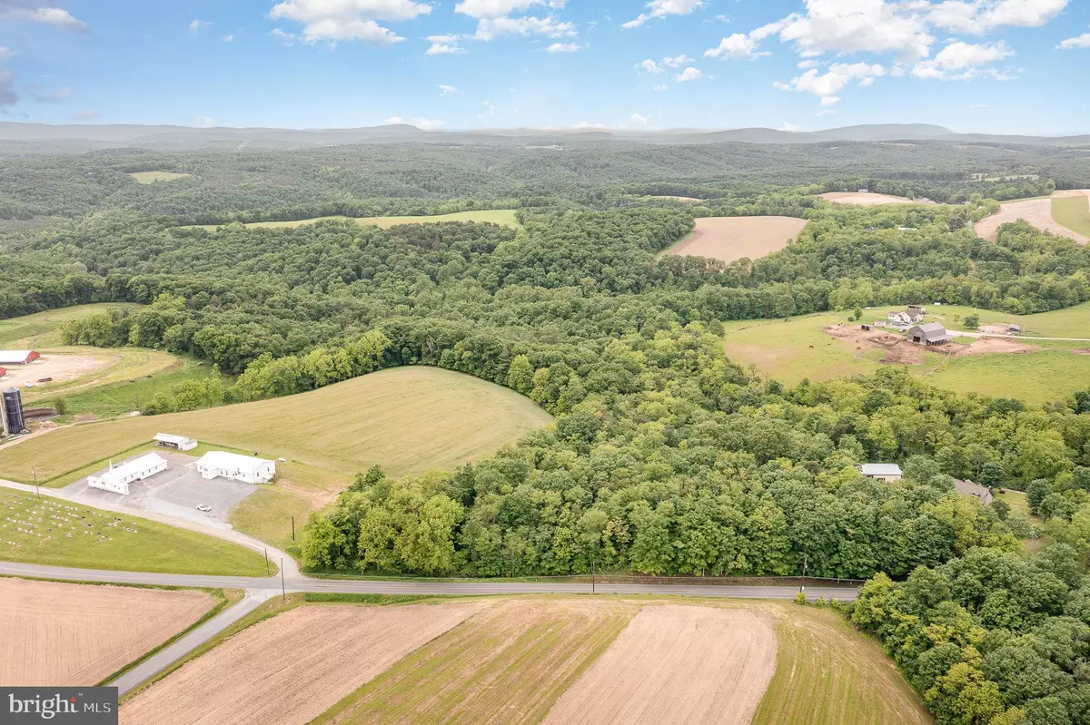 Mount Pleasant Mills, PA 17853,0 DRESSLER RIDGE