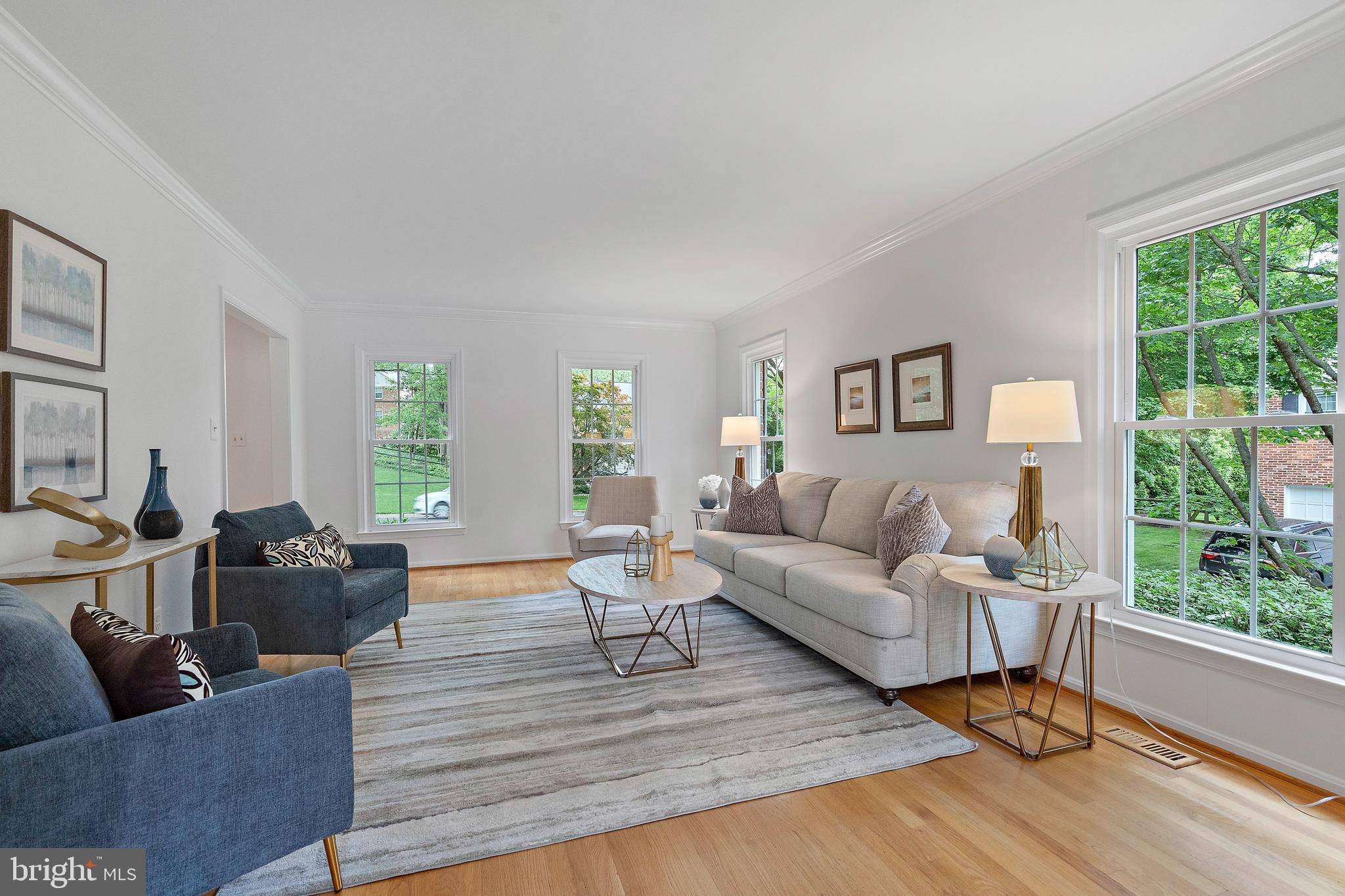 Montgomery Village, MD 20886,9728 WHETSTONE DR