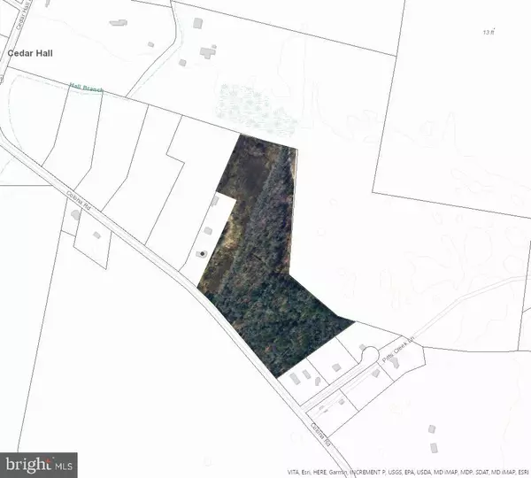 Pocomoke City, MD 21851,13.17 ACRES COLONA RD