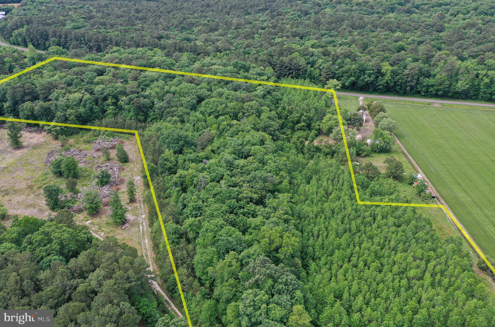 Pocomoke City, MD 21851,13.17 ACRES COLONA RD