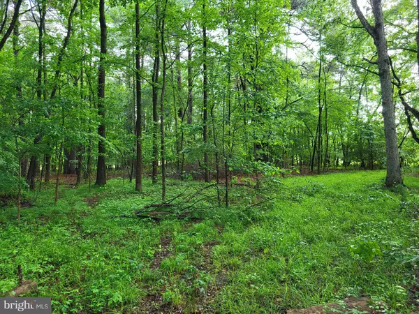 Cordova, MD 21625,LOT B BLADES RD