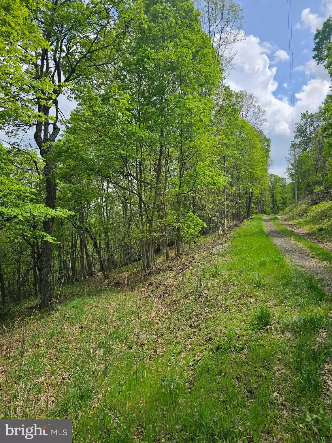 Old Fields, WV 26845,HIGH VIEW RD