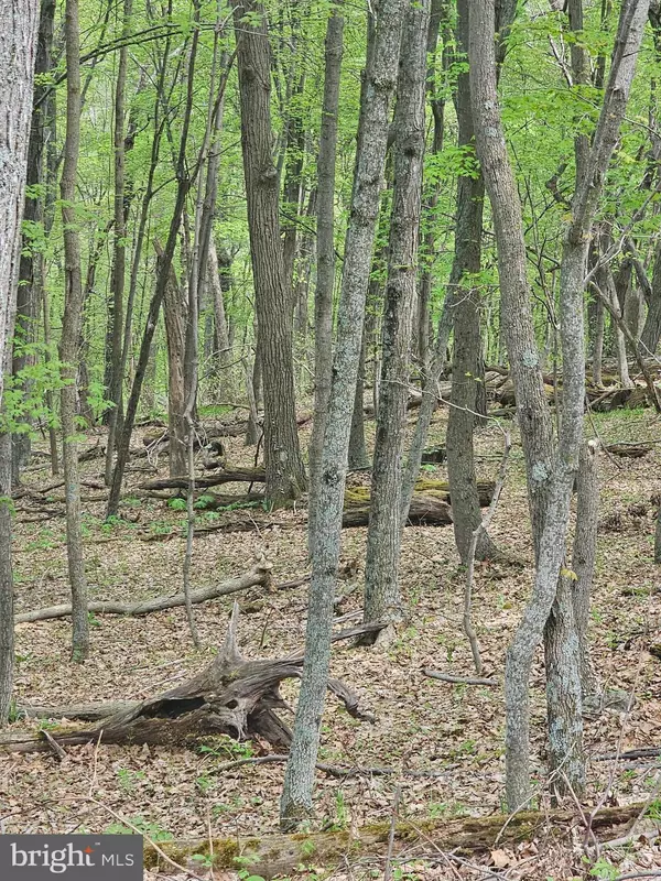 Old Fields, WV 26845,HIGH VIEW RD