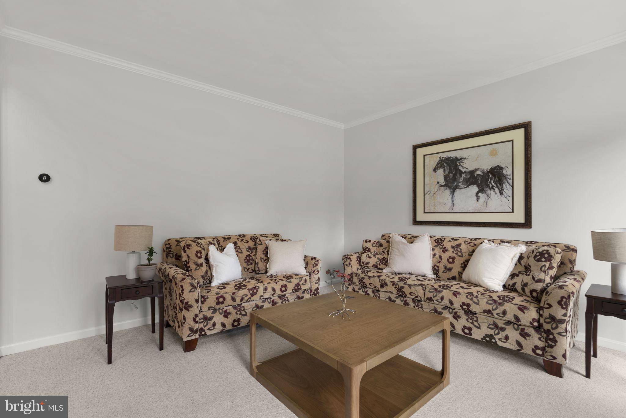 Ellicott City, MD 21043,5108 GATEHOUSE WAY