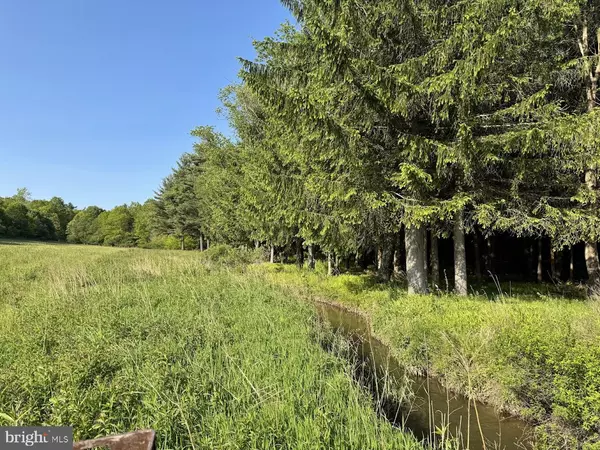 Swanton, MD 21561,BECKMAN-LOHR RD