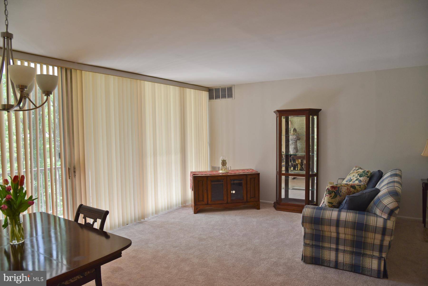 Annandale, VA 22003,4360 IVYMOUNT CT #32