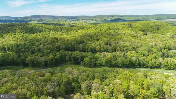 Swanton, MD 21561,LOT 5 AZALEA WAY