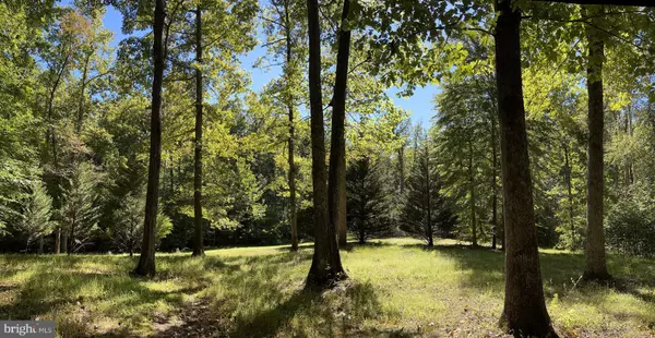 Locust Dale, VA 22948,251 HAWK CIR