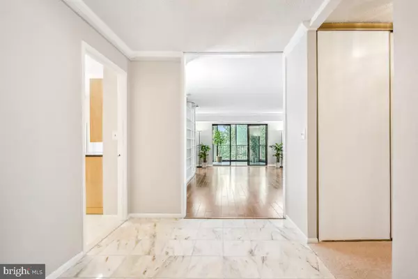 Alexandria, VA 22303,5902 MOUNT EAGLE DR #718