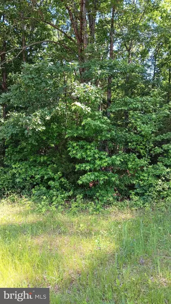 MASSAPONAX CHURCH ROAD, Fredericksburg, VA 22407