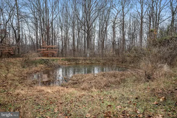 Bluemont, VA 20135,179 RIVER PARK LN