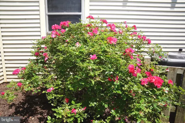 Laurel, MD 20708,9443 TREVINO TER #82