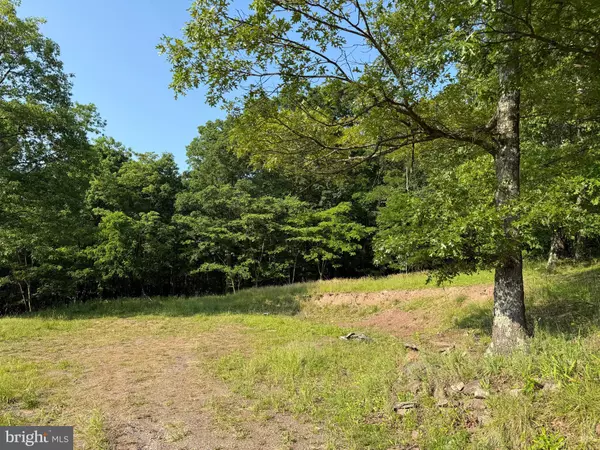 1337 SHANGHAI RD, Berkeley Springs, WV 25411